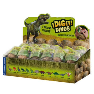 I Dig it! Dinosaur Egg Excavation