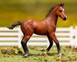 Bay Quarter Horse Foal | CollectA | Breyer