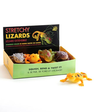 Stretchy Lizard Fidget