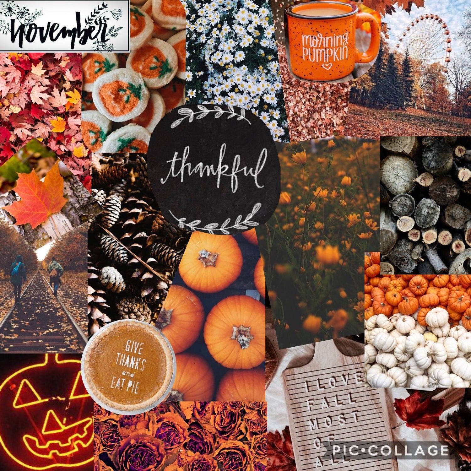Fall