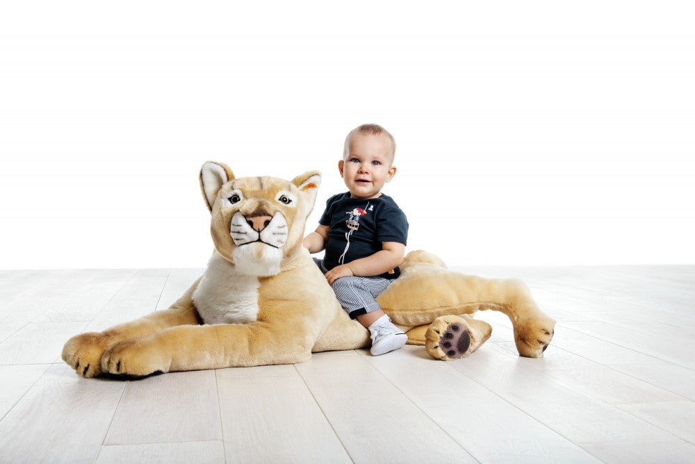 Studio Animals