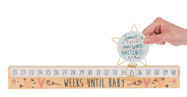 Star Slide Countdown Baby Calendar Set | "Some Things Are Worth Waiting For"