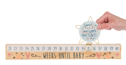 Star Slide Countdown Baby Calendar Set | "Some Things Are Worth Waiting For"