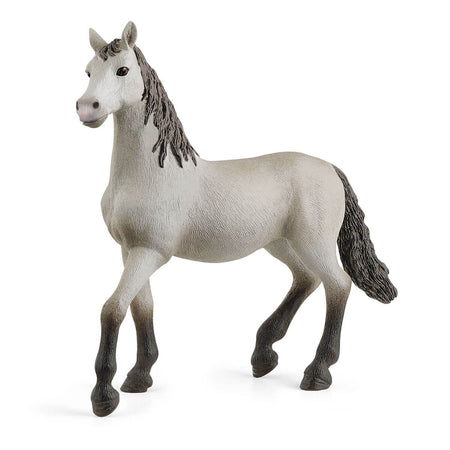 Pura Raza Española Young Horse | Schleich | 13924