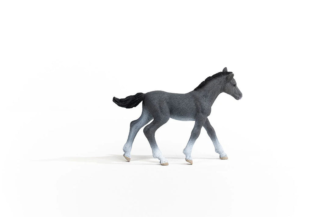 Trakehner Foal | Schleich | 13944