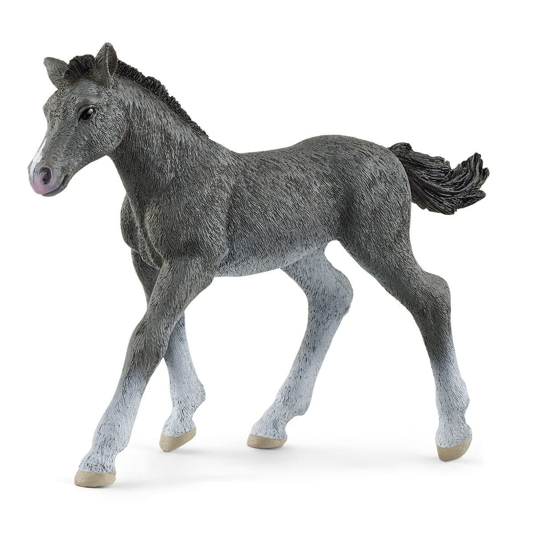 Trakehner Foal | Schleich | 13944