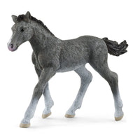 Trakehner Foal | Schleich | 13944