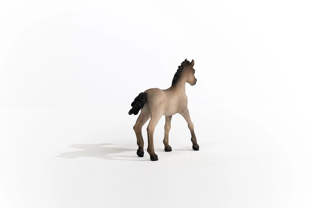 Criollo Definitivo Foal | Schleich | 13949
