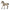 Criollo Definitivo Foal | Schleich | 13949
