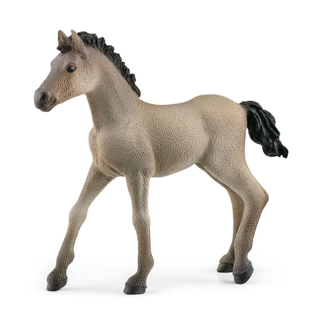 Criollo Definitivo Foal | Schleich | 13949