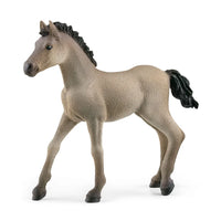 Criollo Definitivo Foal | Schleich | 13949