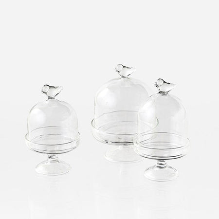 Mini Glass Bird Dome