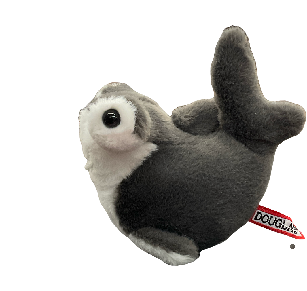 Lil’ Baby Hammerhead Shark | 4417