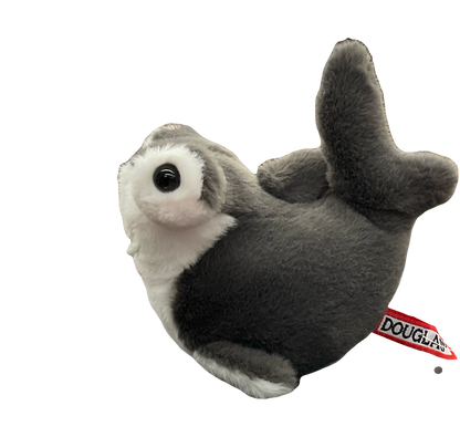 Lil’ Baby Hammerhead Shark | 4417