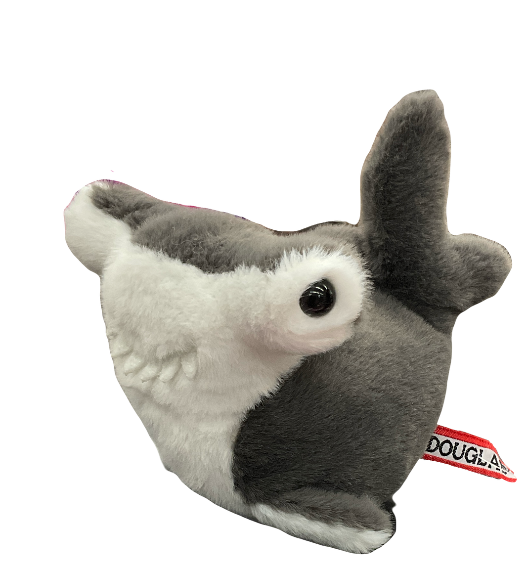 Lil’ Baby Hammerhead Shark | 4417