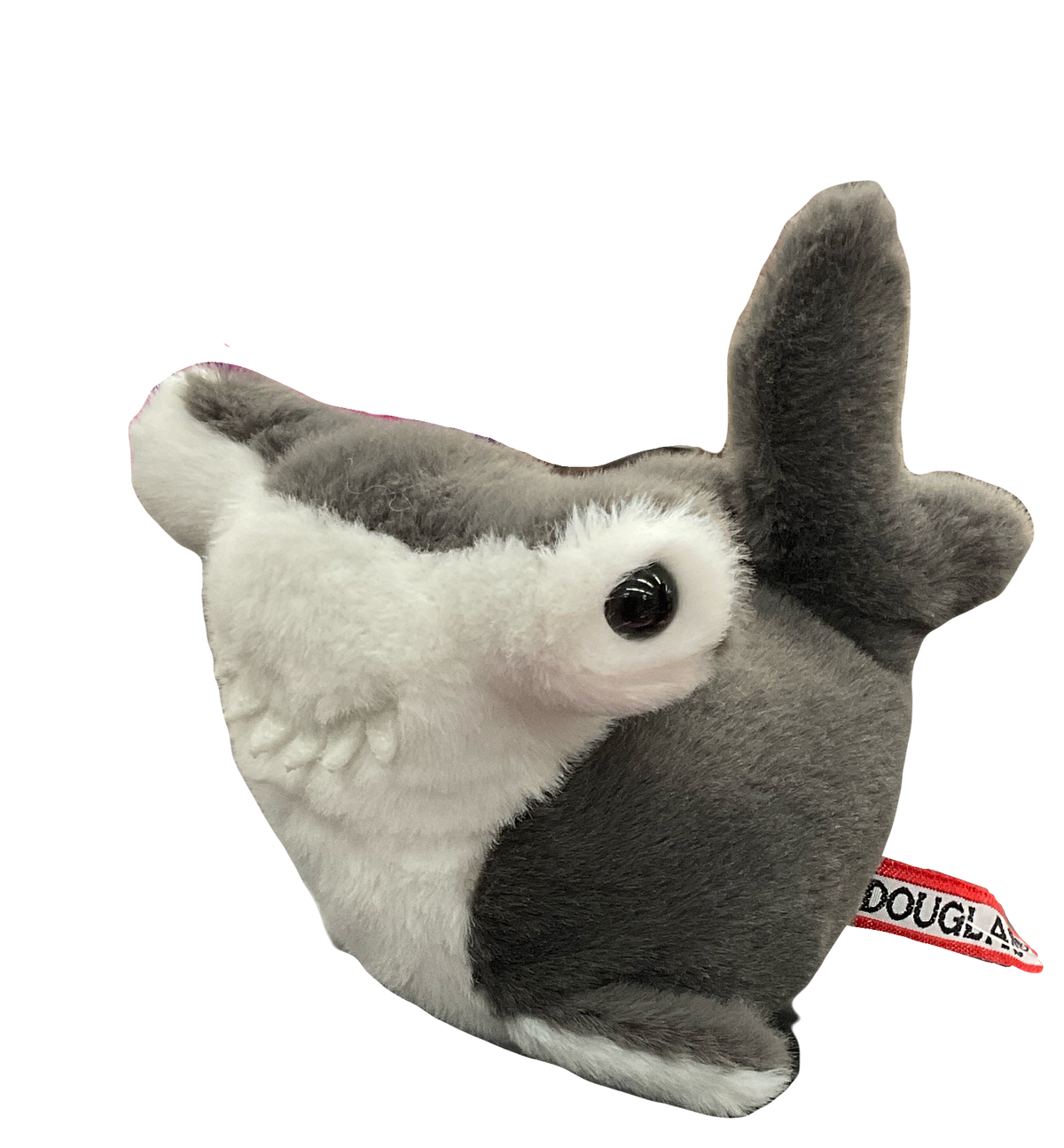 Lil' Baby Hammerhead Shark | 4417 – McWhiggins Wonder Emporium