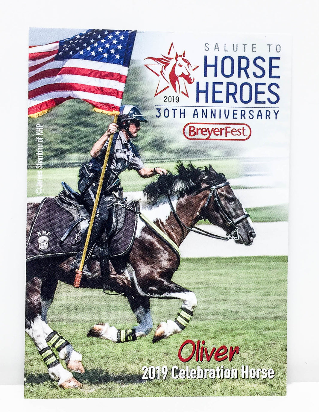 Pre-Owned Oliver | Breyer Model Horse (No Box) | #711339