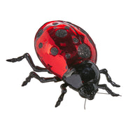 4" Ladybug Ornament Clip