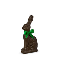 14" Chocolate Bunny | Raz
