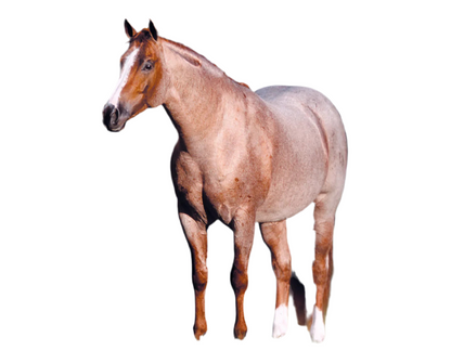 Peptoboonsmal | Breyer Model Horse