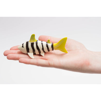 RC Mini Shark | Remote Control