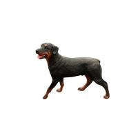 Pre-Owned Breyer Model Horses | Rottweiler