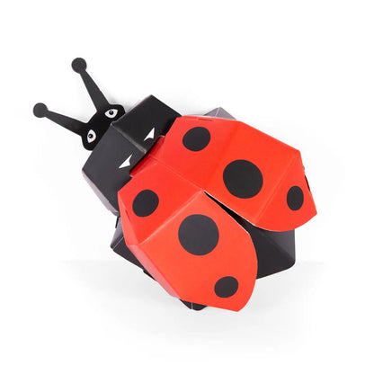 Create-Your-Own Ladybug