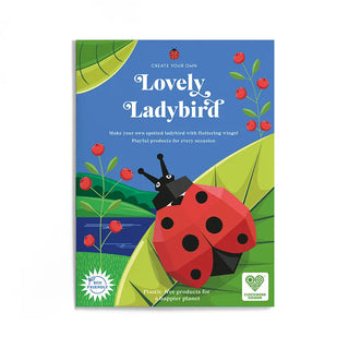 Create-Your-Own Ladybug