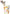 Party Animal Paper Cups and Straw Set | 8 Count