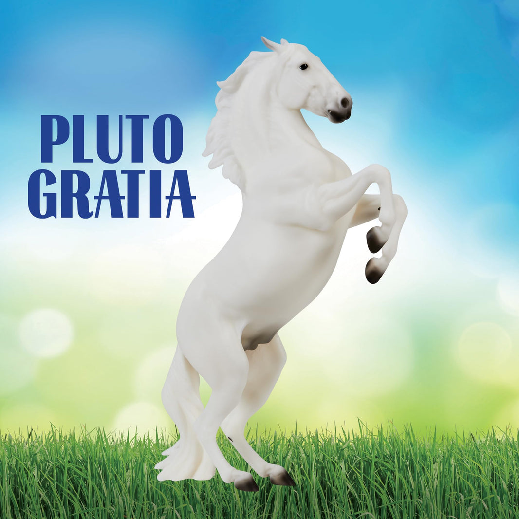 Pluto Gratia | Lipizzan Stallion | B-TR-10667