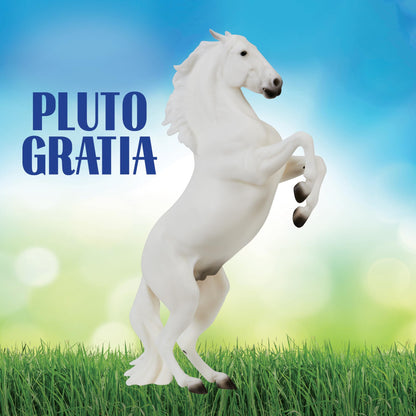 Pluto Gratia | Lipizzan Stallion | B-TR-10667