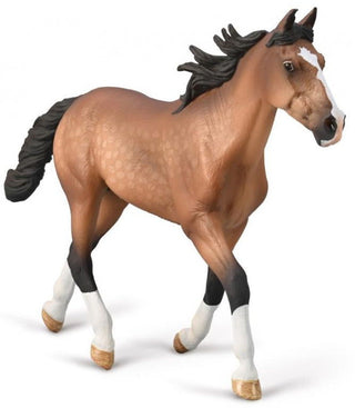 Standardbred Pacer Stallion - Bay | CollectA