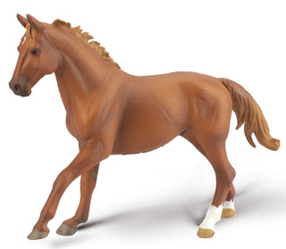 Phar Lap - Thoroughbred Chestnut Stallion | Collecta