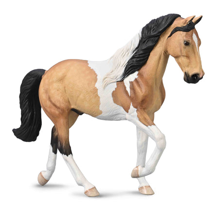 Buckskin Tobiano Tennessee Walking Horse Stallion | 80028