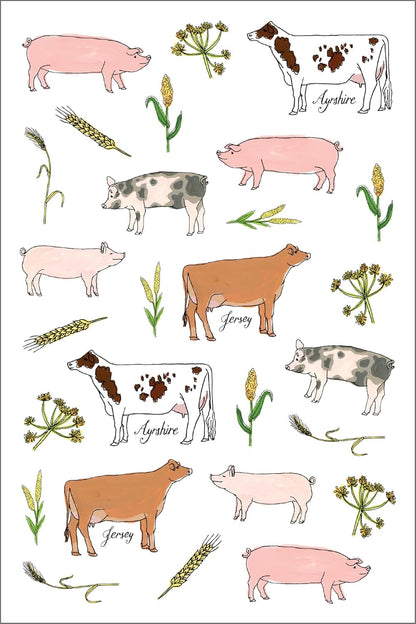 Farm Anatomy Sticker Book