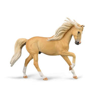 Palomino Andalusian Stallion | 88984
