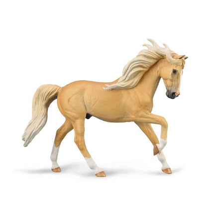 Palomino Andalusian Stallion | 88984