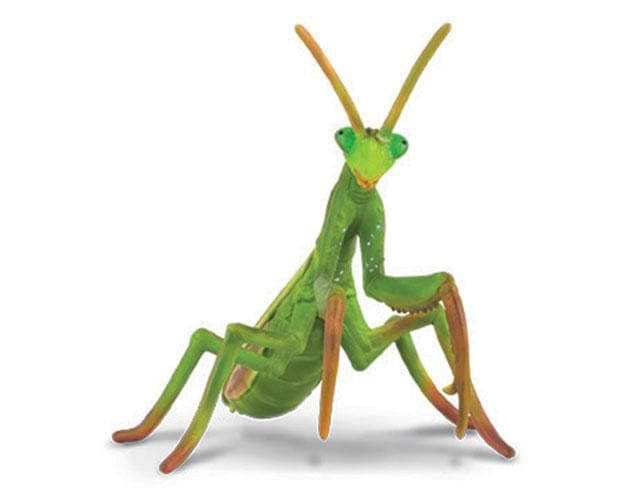 Praying Mantis | Collecta by Breyer | 88351