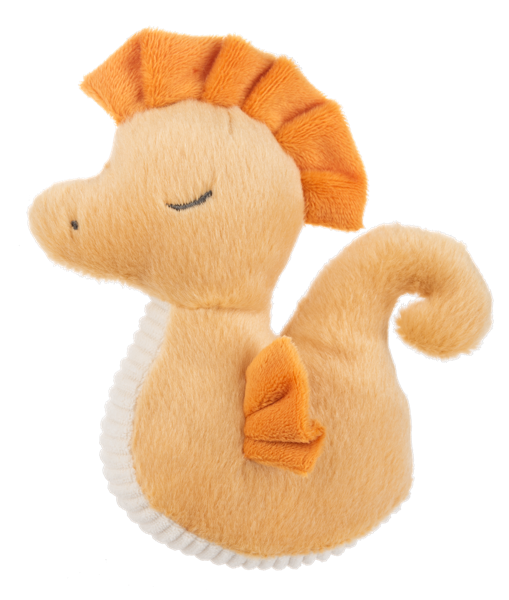 Baby Ganz - Squeak Seahorse