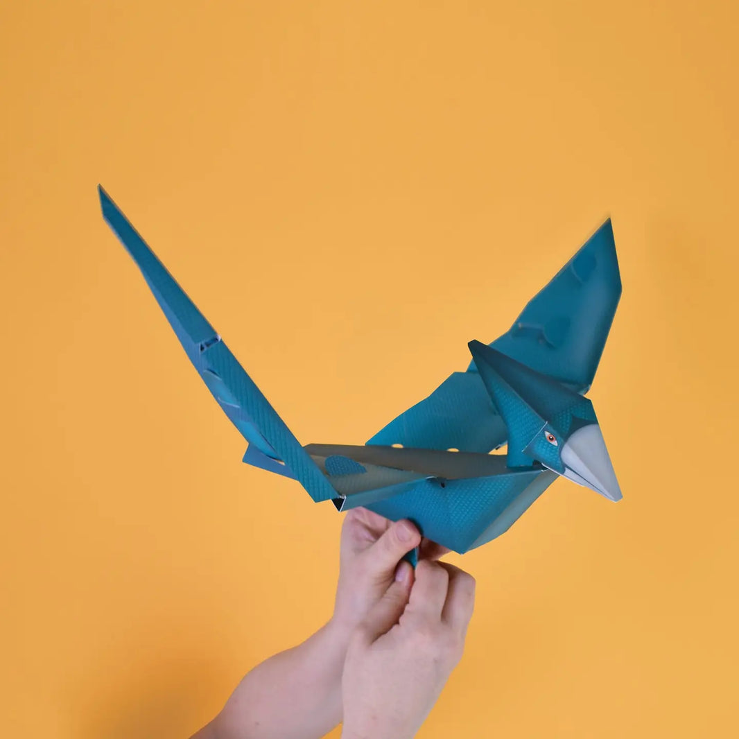Create-Your-Own Flying Dinosaur