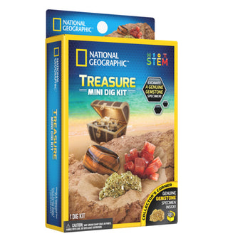 Treasure Mini-Dig Kit