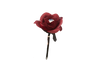 Rose Eye Ink Pen