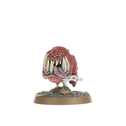 Warhammer Age of Sigmar: Squig Herd