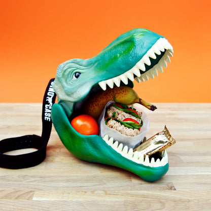Dino Lunch Box