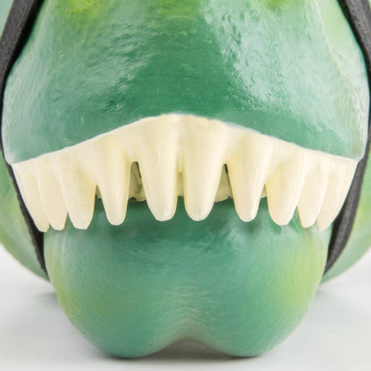 Dino Lunch Box