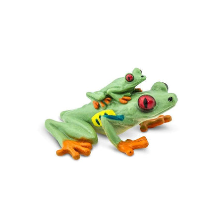 Safari Redeye Tree Frog