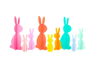 Acrylic 3D Bunny Set