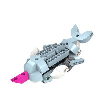 Robot Safari