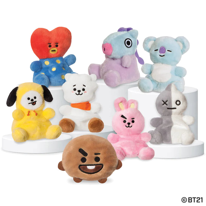 BT21 Palm Pal