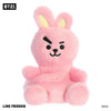 BT21 Palm Pal